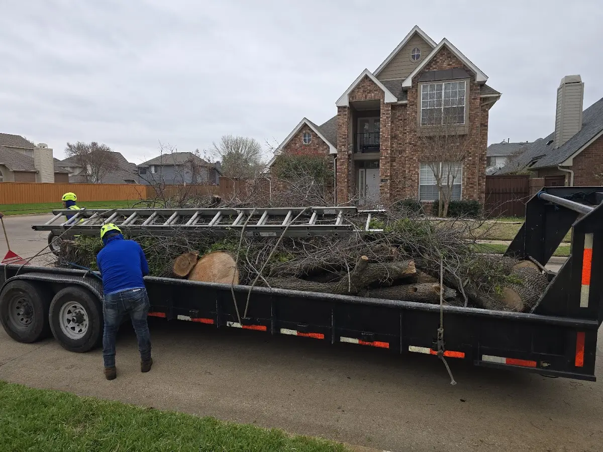 Expert Tree Fertilization with proper safety equipment in Dorothy